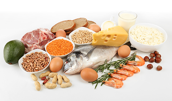 Protein Power:  Itâ€™s Not Just for Muscles (Part 2 — Appetite Control)