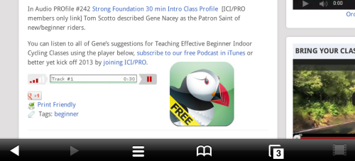 My iPhone running Puffin plays the Podcast just fine :)