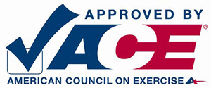 300-ace-approved-logo