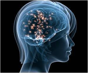 fitness brain chemicals